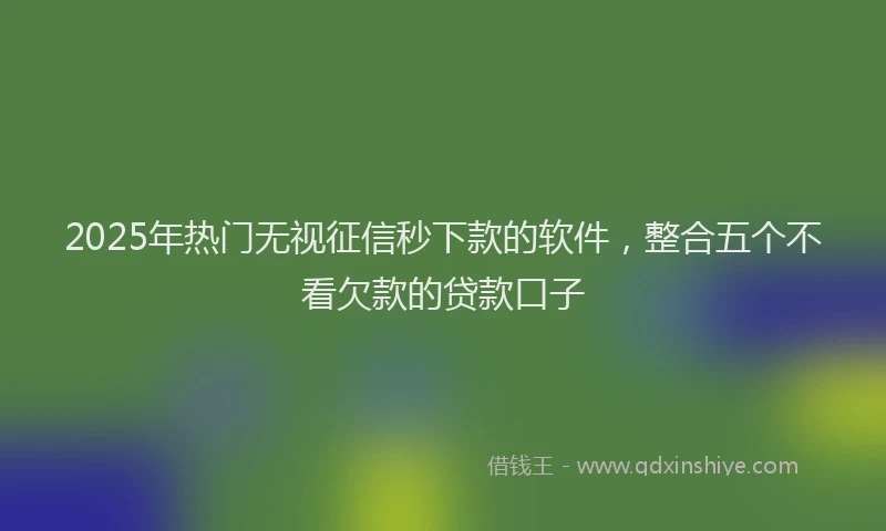 2025年热门无视征信秒下款的软件，整合五个不看欠款的贷款口子