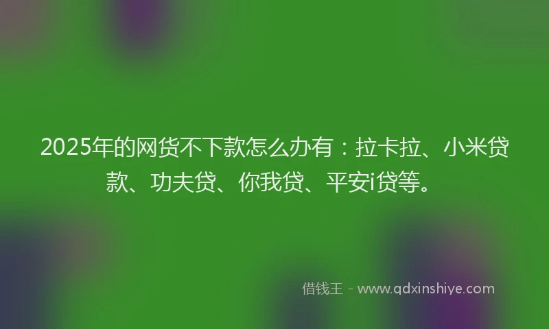 2025年的网货不下款怎么办有：拉卡拉、小米贷款、功夫贷、你我贷、平安i贷等。