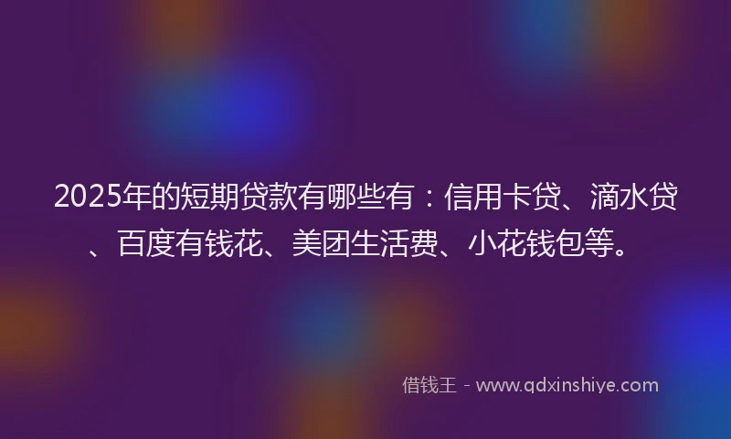 2025年的短期贷款有哪些有：信用卡贷、滴水贷、百度有钱花、美团生活费、小花钱包等。