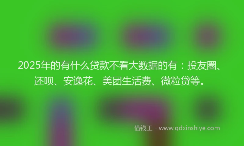 2025年的有什么贷款不看大数据的有：投友圈、还呗、安逸花、美团生活费、微粒贷等。