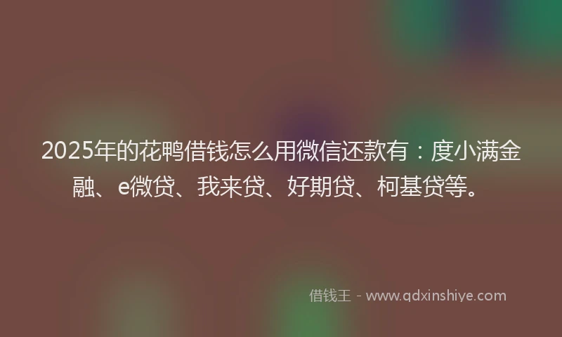 2025年的花鸭借钱怎么用微信还款有：度小满金融、e微贷、我来贷、好期贷、柯基贷等。