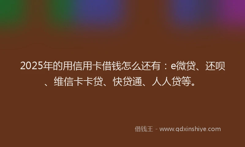 2025年的用信用卡借钱怎么还有：e微贷、还呗、维信卡卡贷、快贷通、人人贷等。