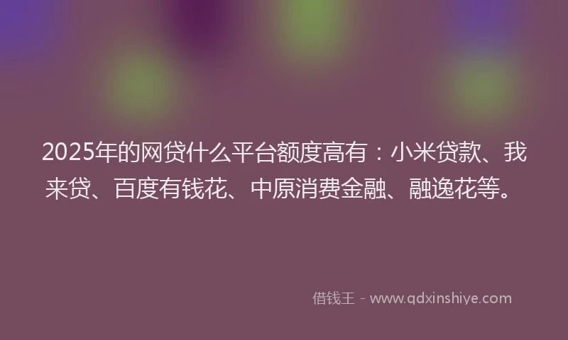 2025年的网贷什么平台额度高有：小米贷款、我来贷、百度有钱花、中原消费金融、融逸花等。