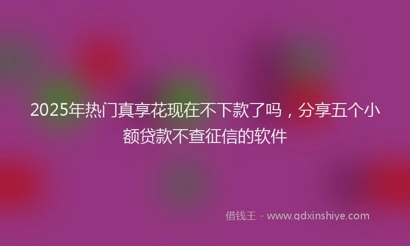 2025年热门真享花现在不下款了吗，分享五个小额贷款不查征信的软件