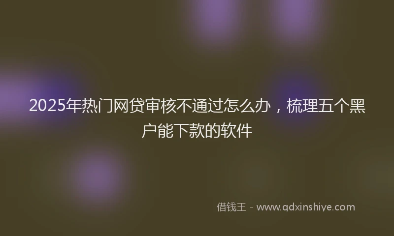 2025年热门网贷审核不通过怎么办，梳理五个黑户能下款的软件