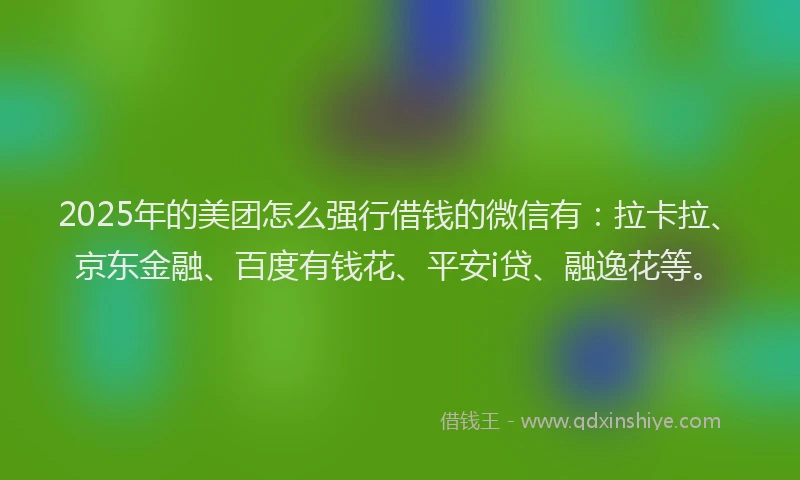 2025年的美团怎么强行借钱的微信有：拉卡拉、京东金融、百度有钱花、平安i贷、融逸花等。