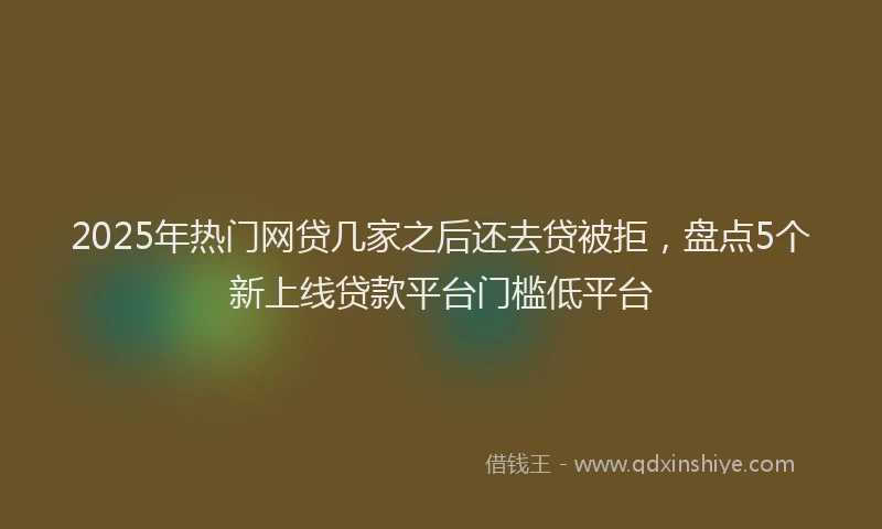 2025年热门网贷几家之后还去贷被拒，盘点5个新上线贷款平台门槛低平台