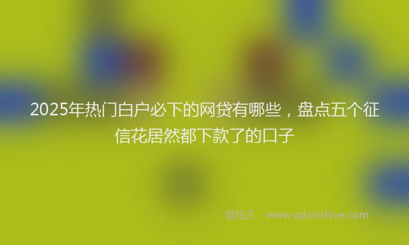 2025年热门白户必下的网贷有哪些，盘点五个征信花居然都下款了的口子