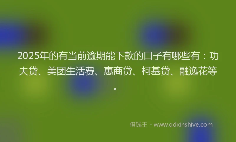 2025年的有当前逾期能下款的口子有哪些有：功夫贷、美团生活费、惠商贷、柯基贷、融逸花等。