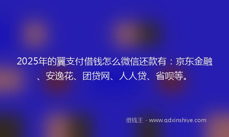 2025年的翼支付借钱怎么微信还款有：京东金融、安逸花、团贷网、人人贷、省呗等。