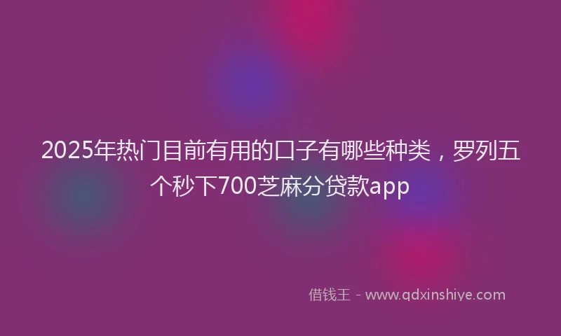 2025年热门目前有用的口子有哪些种类，罗列五个秒下700芝麻分贷款app