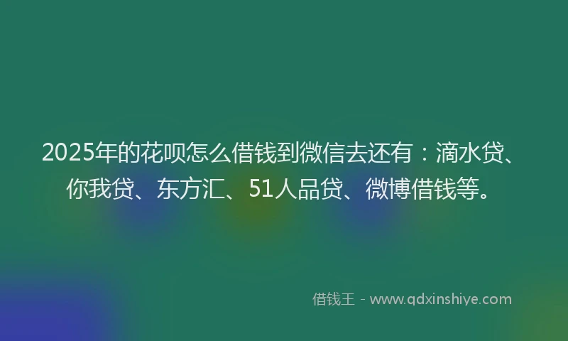 2025年的花呗怎么借钱到微信去还有：滴水贷、你我贷、东方汇、51人品贷、微博借钱等。