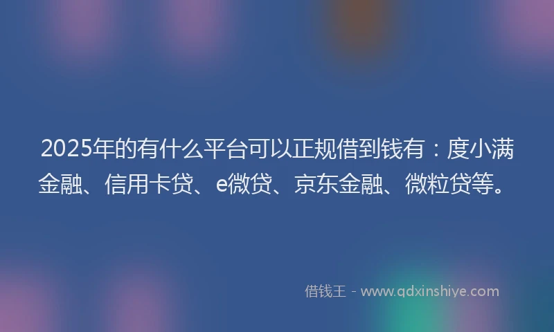 2025年的有什么平台可以正规借到钱有：度小满金融、信用卡贷、e微贷、京东金融、微粒贷等。