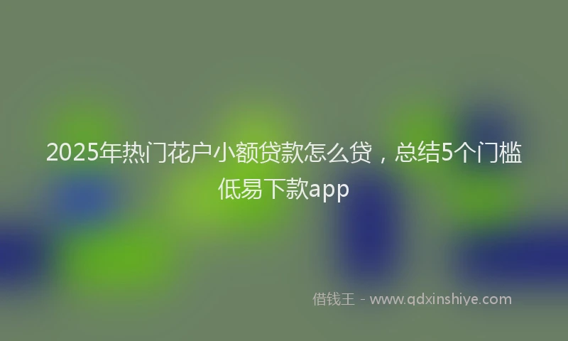 2025年热门花户小额贷款怎么贷，总结5个门槛低易下款app