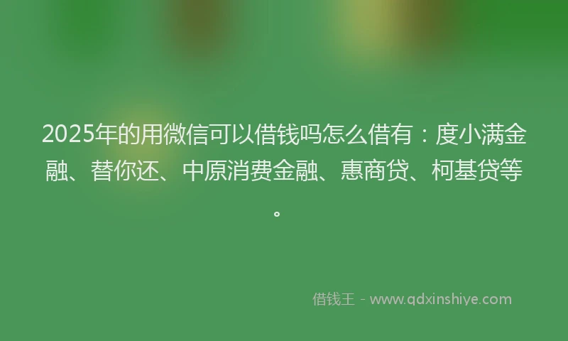 2025年的用微信可以借钱吗怎么借有：度小满金融、替你还、中原消费金融、惠商贷、柯基贷等。