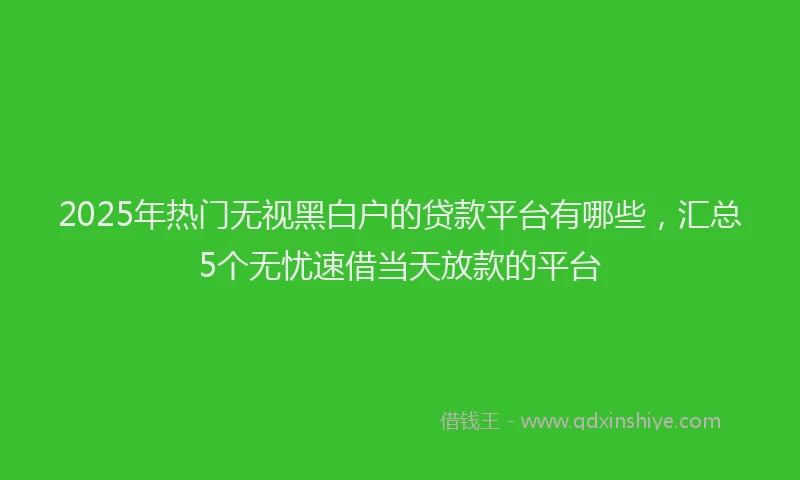 2025年热门无视黑白户的贷款平台有哪些，汇总5个无忧速借当天放款的平台