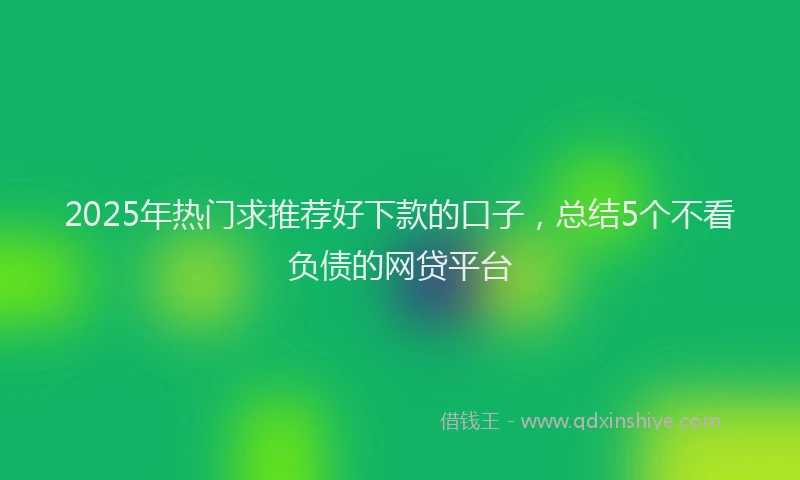2025年热门求推荐好下款的口子，总结5个不看负债的网贷平台
