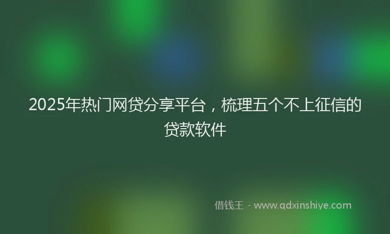 2025年热门网贷分享平台，梳理五个不上征信的贷款软件