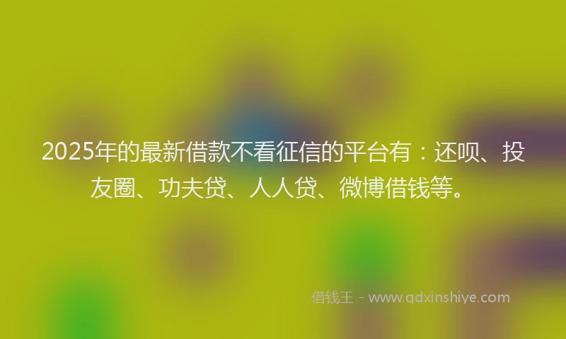 2025年的最新借款不看征信的平台有：还呗、投友圈、功夫贷、人人贷、微博借钱等。