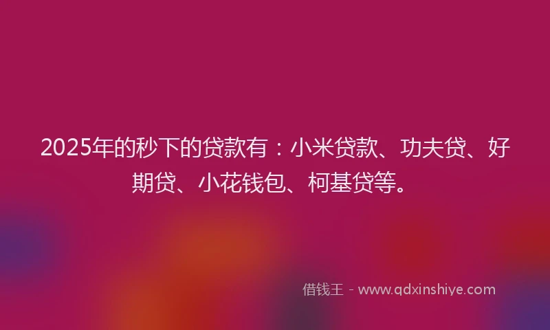 2025年的秒下的贷款有：小米贷款、功夫贷、好期贷、小花钱包、柯基贷等。