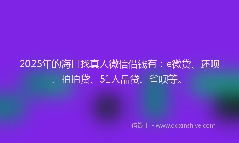 2025年的海口找真人微信借钱有：e微贷、还呗、拍拍贷、51人品贷、省呗等。