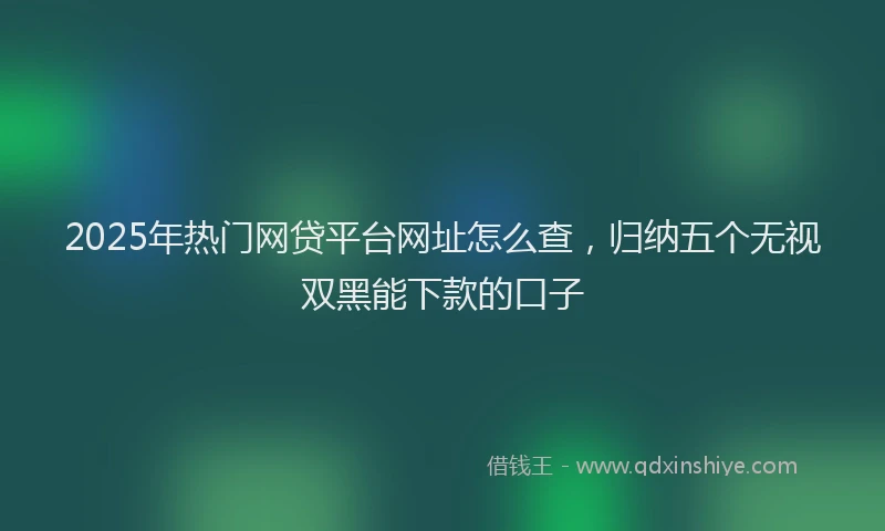 2025年热门网贷平台网址怎么查，归纳五个无视双黑能下款的口子