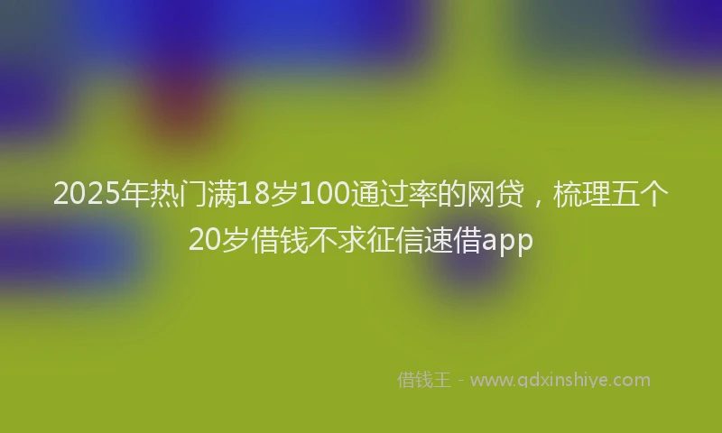 2025年热门满18岁100通过率的网贷，梳理五个20岁借钱不求征信速借app