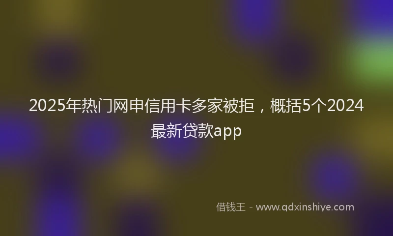 2025年热门网申信用卡多家被拒，概括5个2024最新贷款app