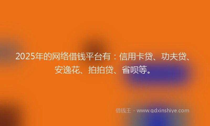 2025年的网络借钱平台有：信用卡贷、功夫贷、安逸花、拍拍贷、省呗等。