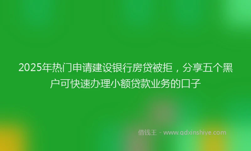 2025年热门申请建设银行房贷被拒，分享五个黑户可快速办理小额贷款业务的口子