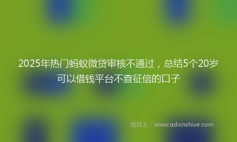 2025年热门蚂蚁微贷审核不通过，总结5个20岁可以借钱平台不查征信的口子