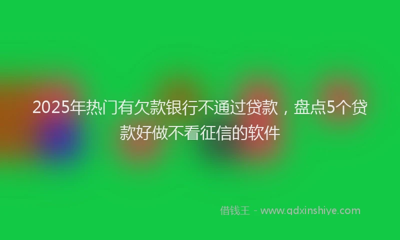 2025年热门有欠款银行不通过贷款，盘点5个贷款好做不看征信的软件