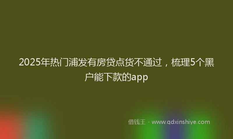 2025年热门浦发有房贷点货不通过，梳理5个黑户能下款的app