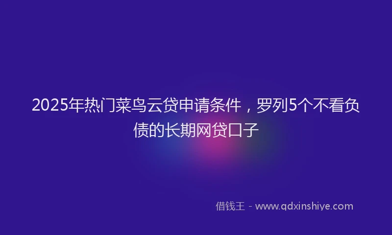 2025年热门菜鸟云贷申请条件，罗列5个不看负债的长期网贷口子