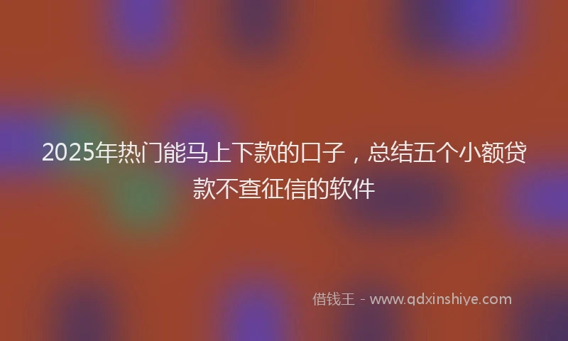 2025年热门能马上下款的口子，总结五个小额贷款不查征信的软件