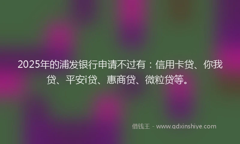 2025年的浦发银行申请不过有：信用卡贷、你我贷、平安i贷、惠商贷、微粒贷等。
