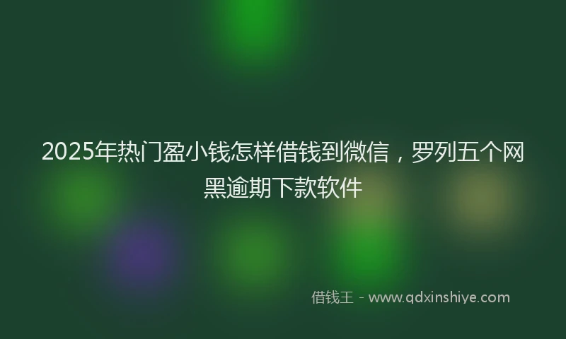2025年热门盈小钱怎样借钱到微信，罗列五个网黑逾期下款软件