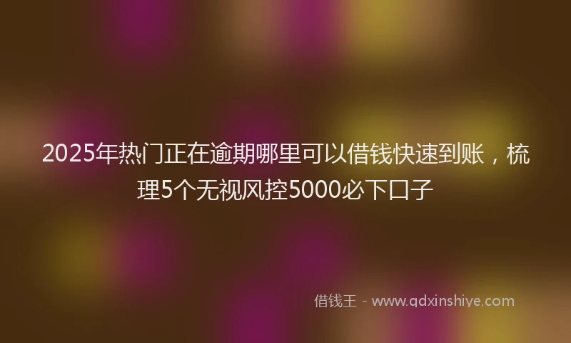 2025年热门正在逾期哪里可以借钱快速到账，梳理5个无视风控5000必下口子