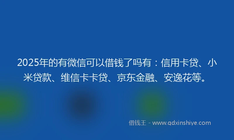 2025年的有微信可以借钱了吗有：信用卡贷、小米贷款、维信卡卡贷、京东金融、安逸花等。