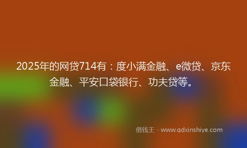 2025年的网贷714有：度小满金融、e微贷、京东金融、平安口袋银行、功夫贷等。