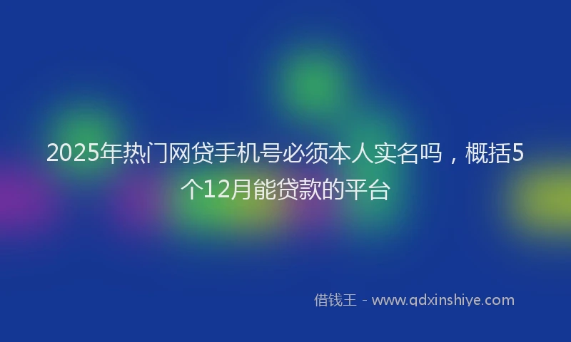 2025年热门网贷手机号必须本人实名吗，概括5个12月能贷款的平台