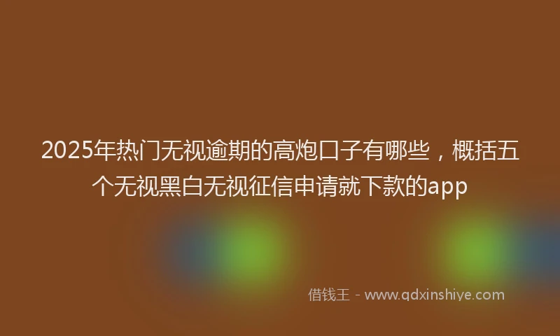 2025年热门无视逾期的高炮口子有哪些，概括五个无视黑白无视征信申请就下款的app