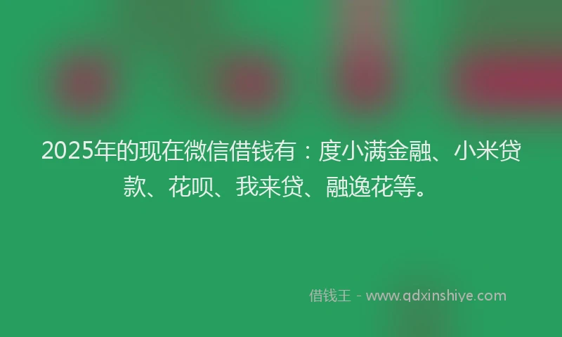 2025年的现在微信借钱有：度小满金融、小米贷款、花呗、我来贷、融逸花等。