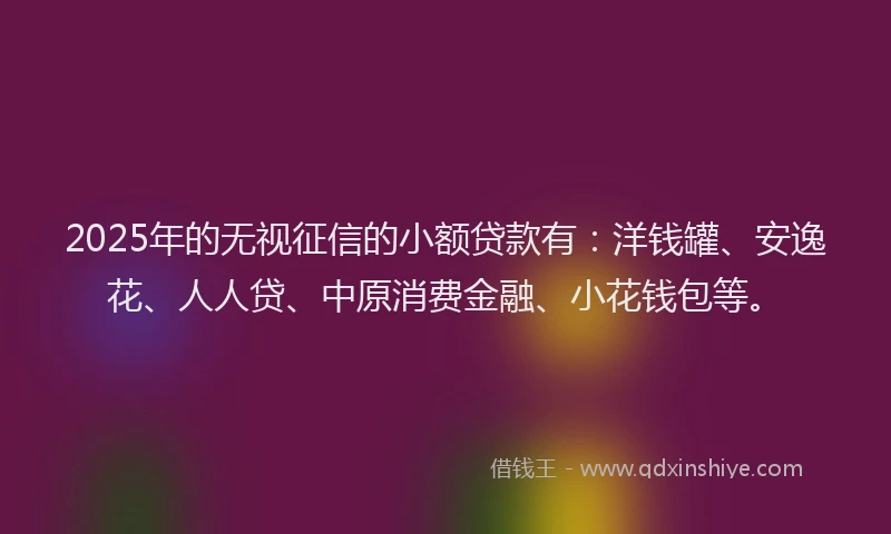 2025年的无视征信的小额贷款有：洋钱罐、安逸花、人人贷、中原消费金融、小花钱包等。