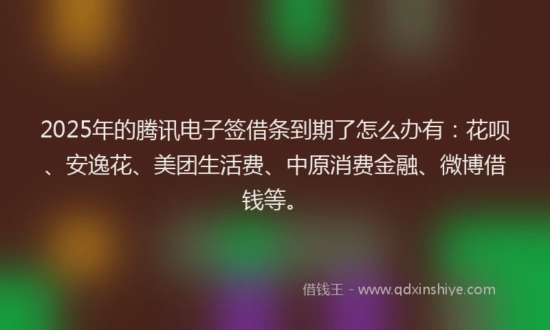 2025年的腾讯电子签借条到期了怎么办有：花呗、安逸花、美团生活费、中原消费金融、微博借钱等。