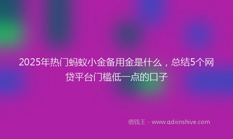 2025年热门蚂蚁小金备用金是什么，总结5个网贷平台门槛低一点的口子