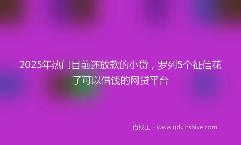 2025年热门目前还放款的小贷，罗列5个征信花了可以借钱的网贷平台
