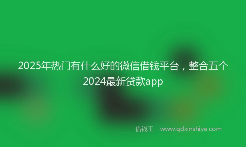 2025年热门有什么好的微信借钱平台，整合五个2024最新贷款app