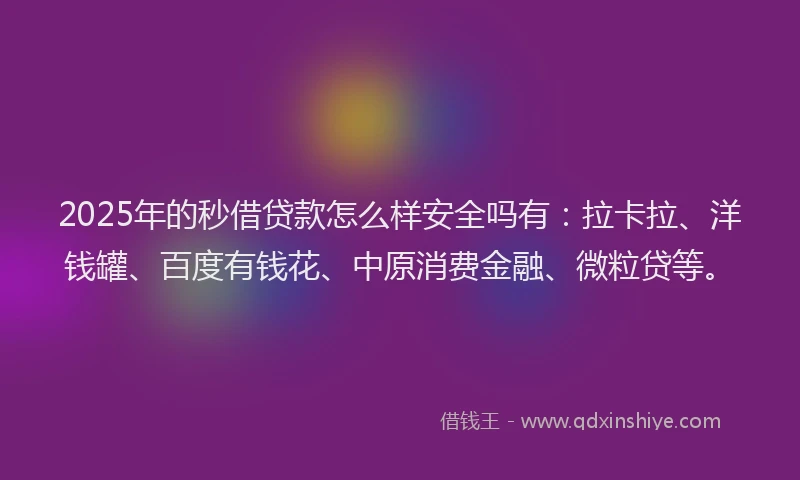 2025年的秒借贷款怎么样安全吗有：拉卡拉、洋钱罐、百度有钱花、中原消费金融、微粒贷等。