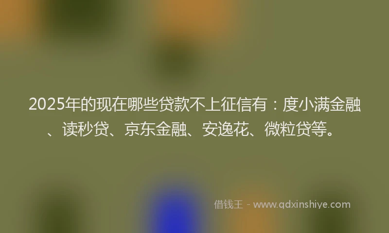 2025年的现在哪些贷款不上征信有：度小满金融、读秒贷、京东金融、安逸花、微粒贷等。